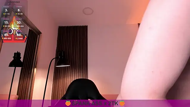MAGIC_VERA webcam