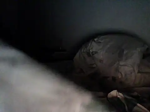 Franklin_Vikingo420 webcam