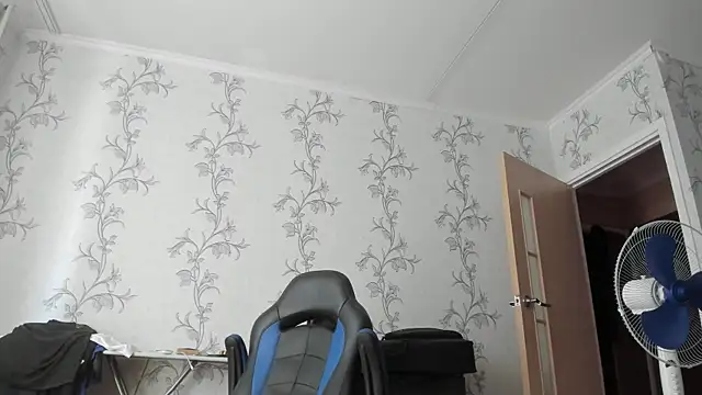 SanFrantsisko webcam