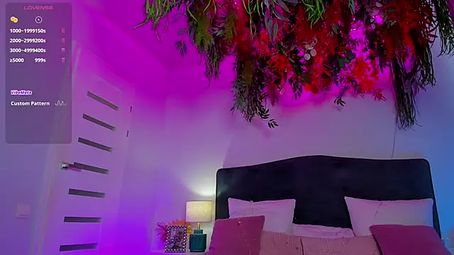 PalmLora1 webcam
