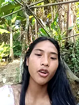 Hoa-tuylip