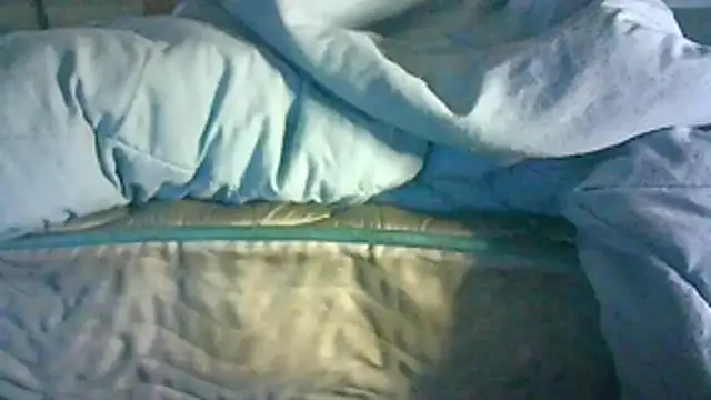 CR3M3_FIR3 webcam