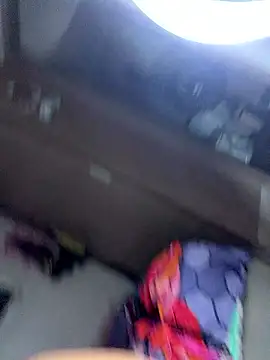 linatarens webcam