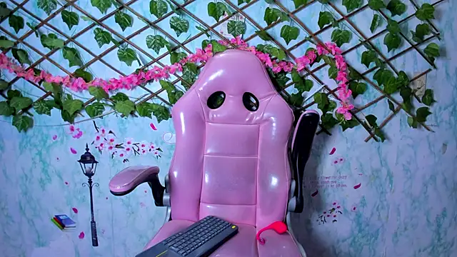 Pamesmith webcam