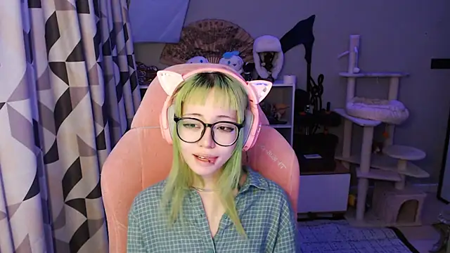 SaxonDibs webcam