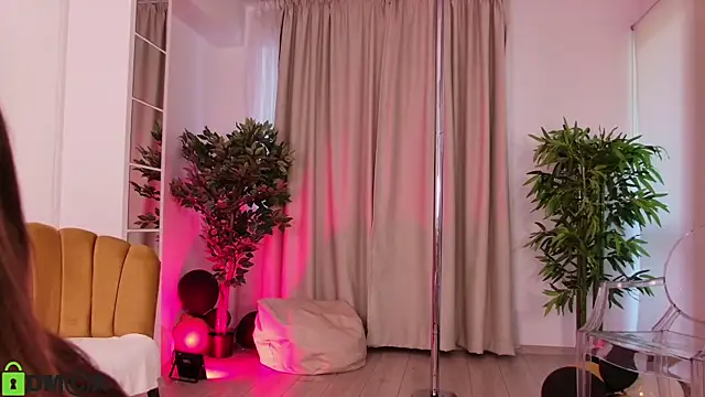 MayaSpringX webcam
