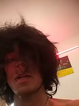 14xprince webcam