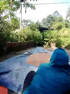 Diana_hi webcam