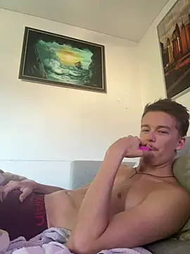 Toyjungee webcam