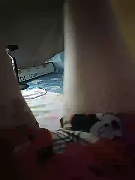 -Tara-a webcam