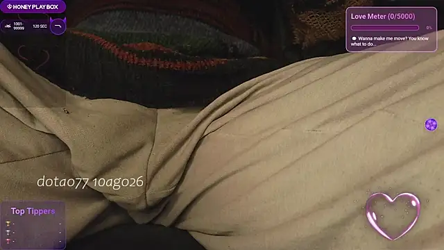 doTao7 webcam