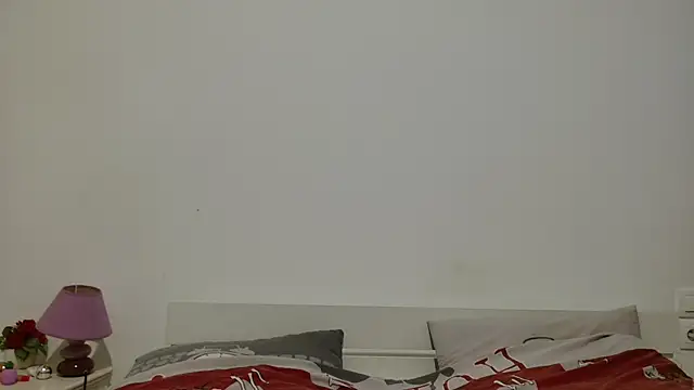 desirmiss1 webcam