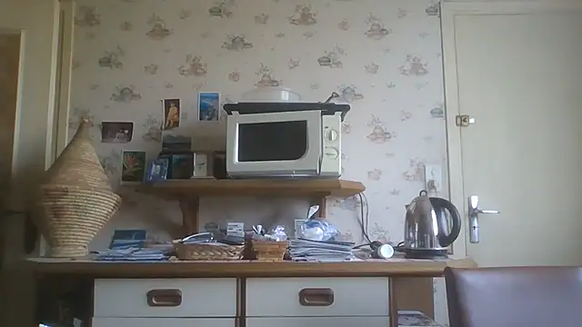 gegevincent5 webcam