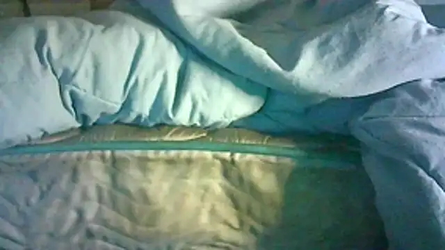 CR3M3_FIR3 webcam