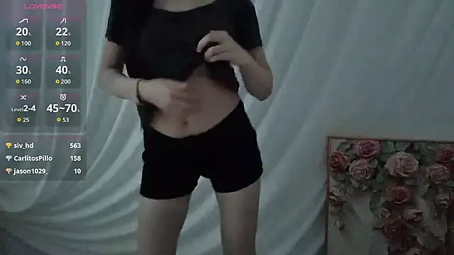 -ruoruo- webcam