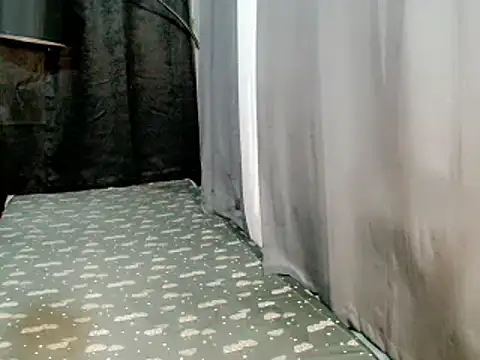 Chulafox webcam
