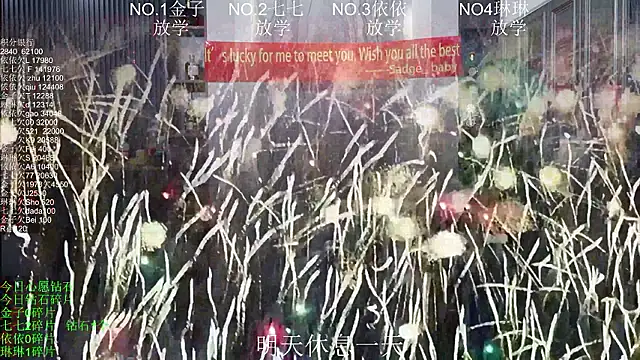 98K_001 webcam