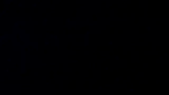 Skylar_spring webcam