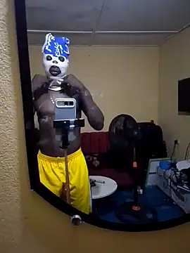 doro2653 webcam