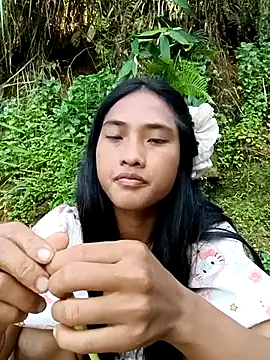 Hoa-tuylip webcam