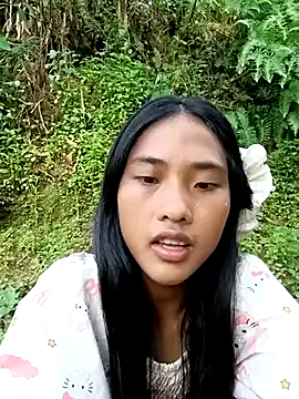 Hoa-tuylip