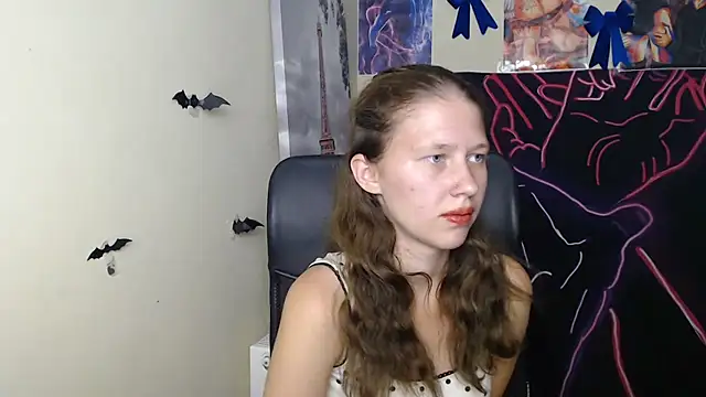 StellaCRL webcam
