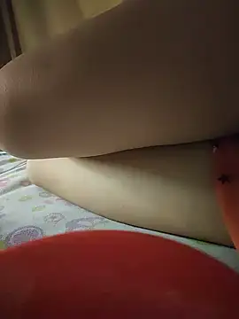 -Tara-a webcam