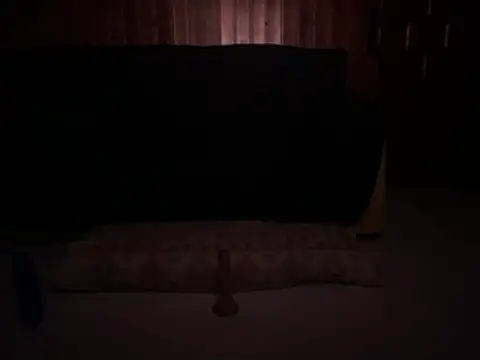 Comadrejaja webcam