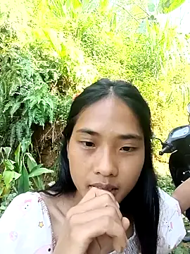 Hoa-tuylip webcam