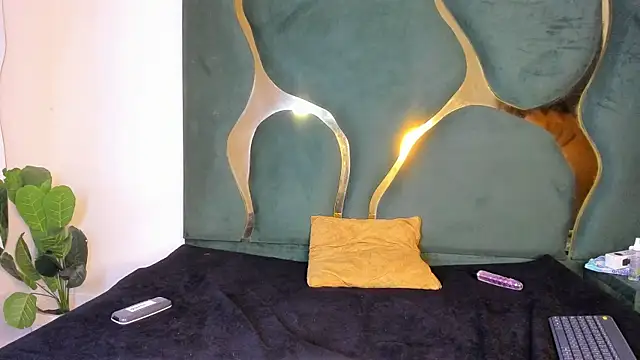 Katlin_asm webcam
