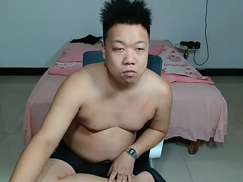 cc2003vv webcam