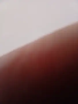 gladieitore webcam