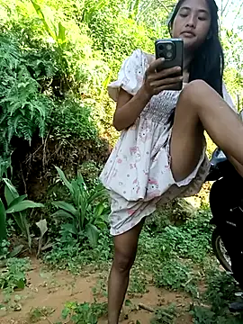 Hoa-tuylip webcam