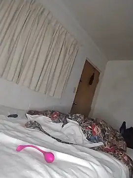 THEBEDroomdoOR