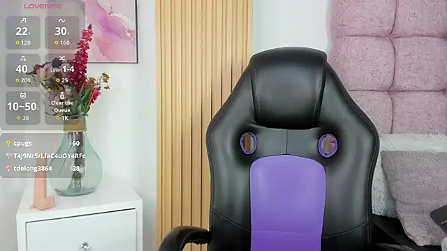 1Sloppy_Fox4 webcam