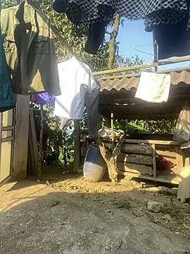 Hikomy- webcam