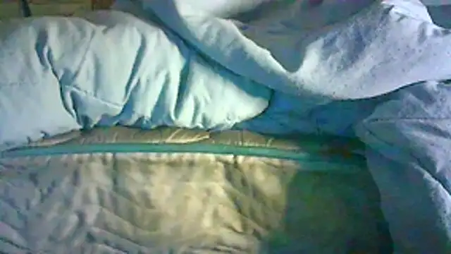 CR3M3_FIR3 webcam