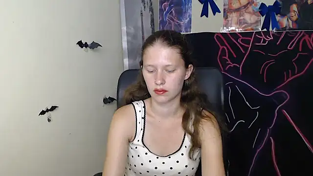StellaCRL webcam