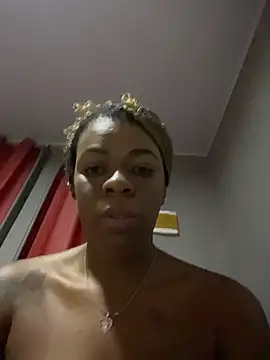 Priihmedeiros webcam