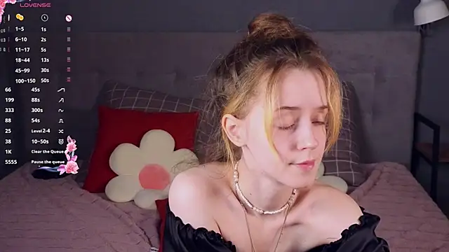 stelamontis webcam