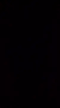 Shaniya03 webcam