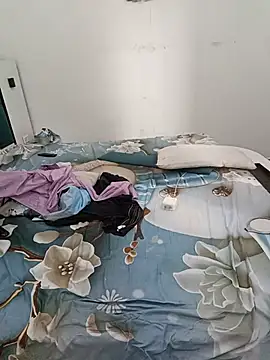 Model_0088 webcam