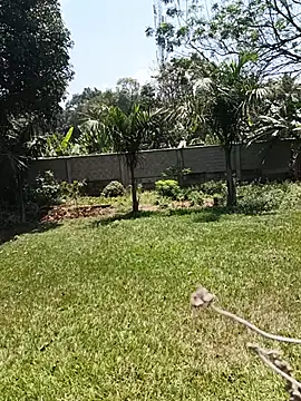 Comingtop webcam