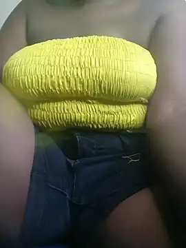 Siyiley9 webcam