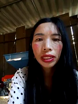 Tho-bibi webcam
