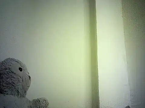 DelteAfriq webcam