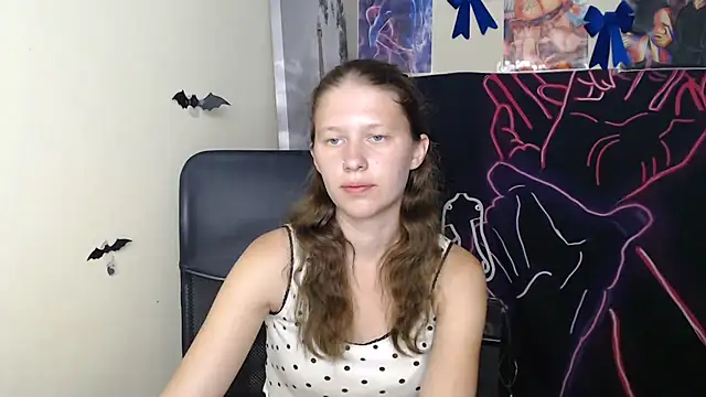StellaCRL webcam