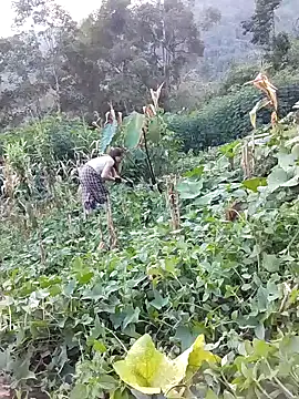 Nasu-abc webcam