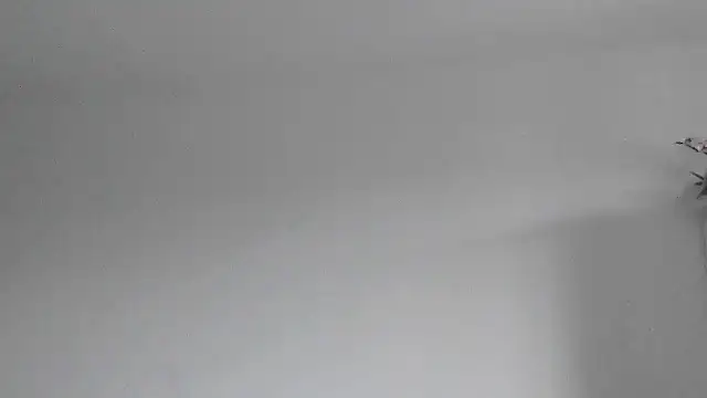 Di_Gi webcam