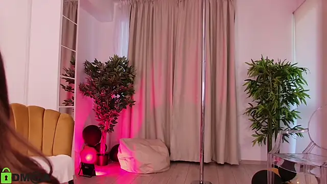 MayaSpringX webcam